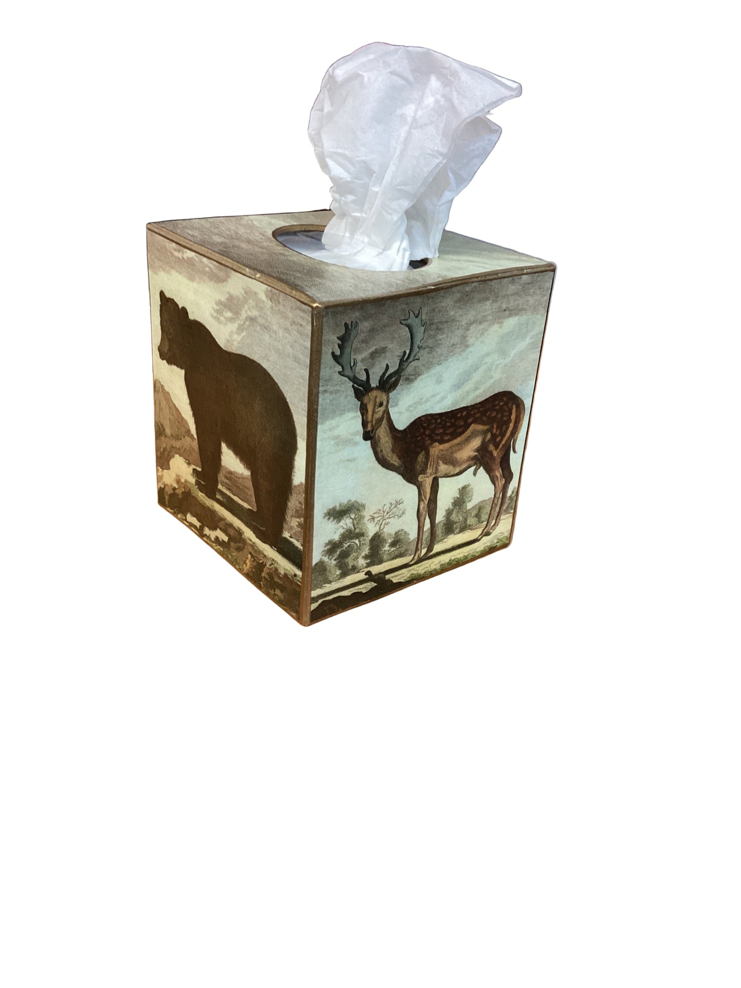 Tissue box