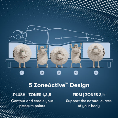 Serta Perfect Sleeper Pro - Hampton