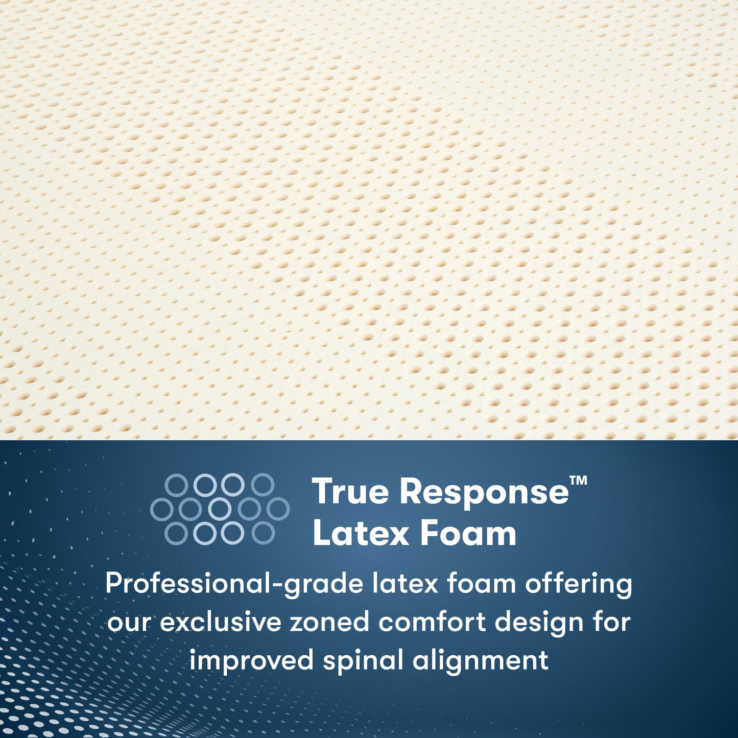 Serta Perfect Sleeper Pro - Hampton